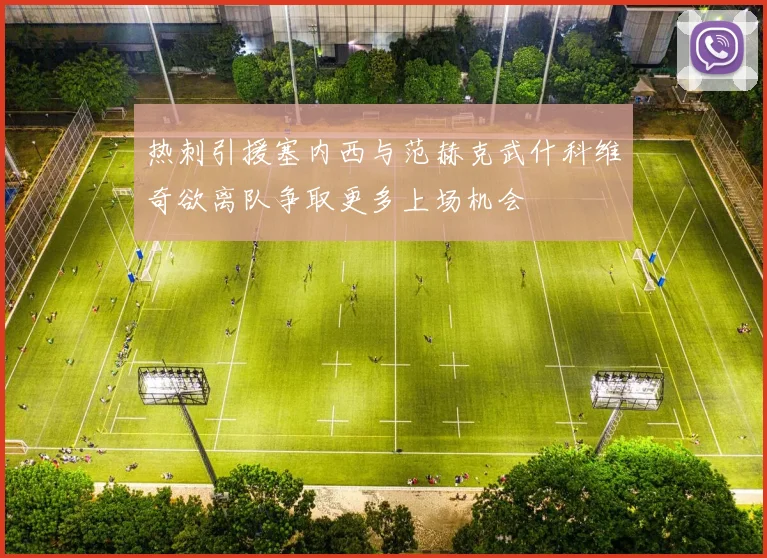 热刺引援塞内西与范赫克武什科维奇欲离队争取更多上场机会